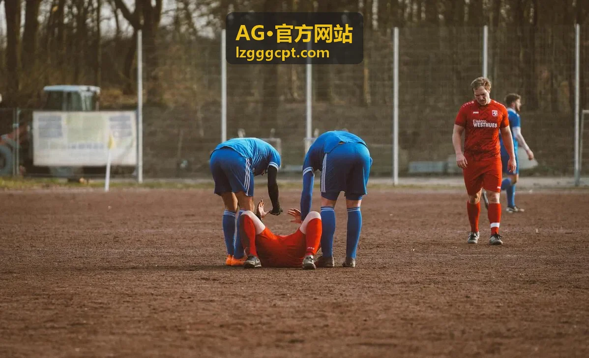 AG·官方网站好物榜单清单分类入口